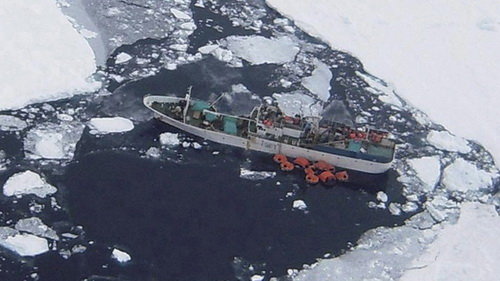 Mv7lCyDp.jpg