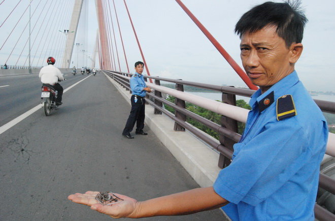 BZ1ny4JT.jpg