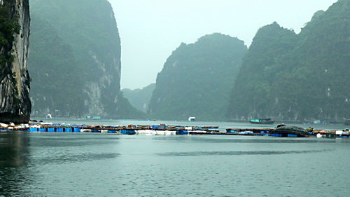 KEnacm30.jpg