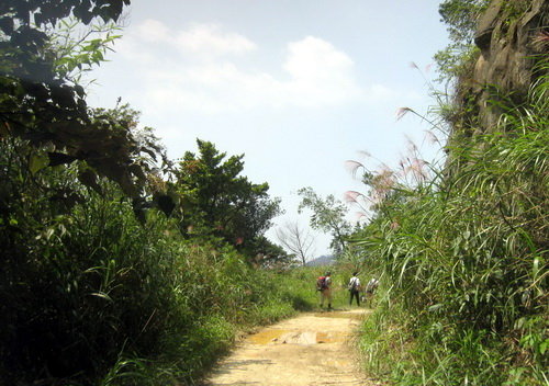 it8541QM.jpg