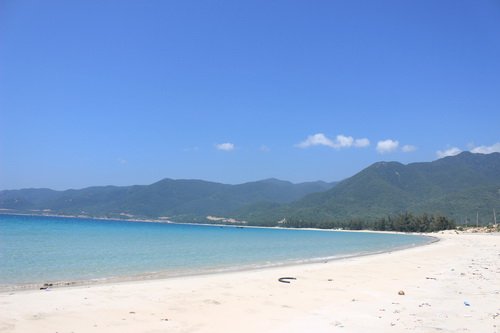 ZvyJp31x.jpg