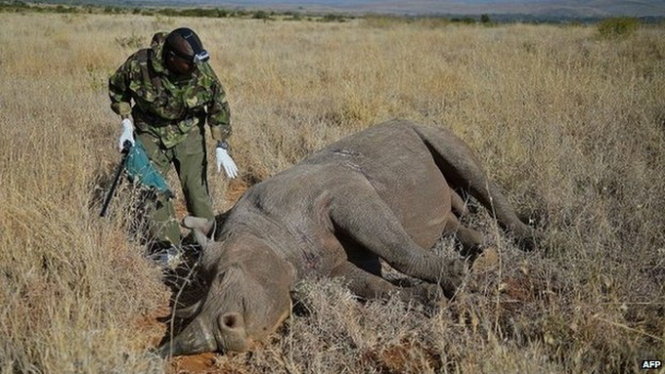 oR5zkMA7.jpg