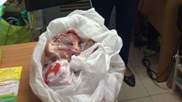8tmzRz8Q.jpg