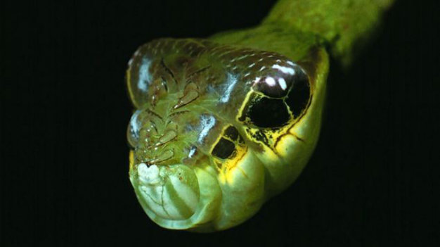 iMQA1uB8.jpg