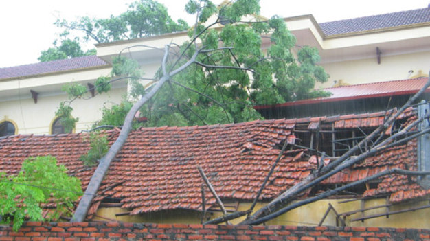 7RQr7UhF.jpg