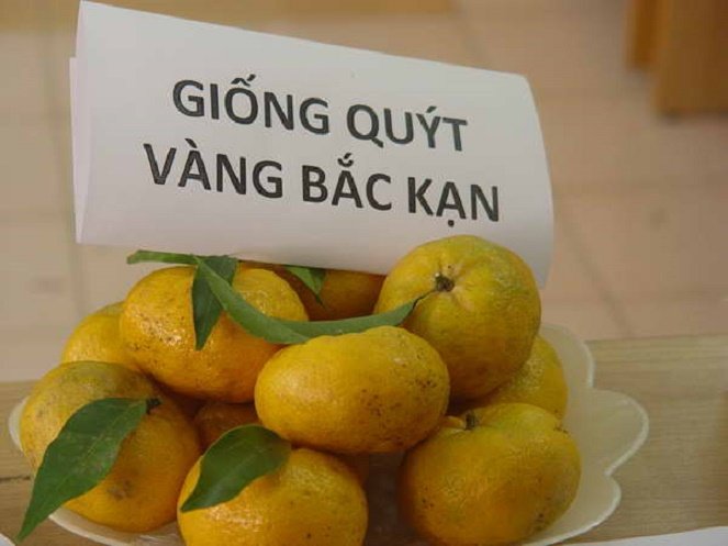 OtCxorjj.jpg