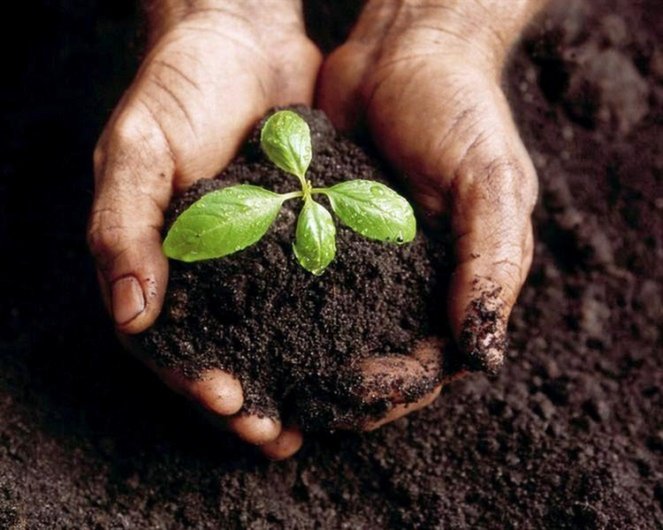 iU7TAWSO.jpg