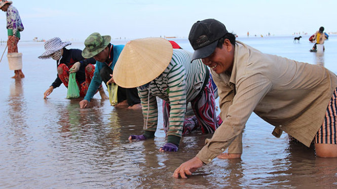 Những “nghêu tặc” chỉ là người nghèo cần bãi bồi để mưu sinh - Ảnh: Tiến Trình