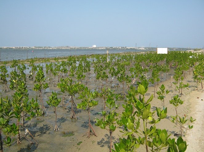 hinh-7-1440217179.jpg