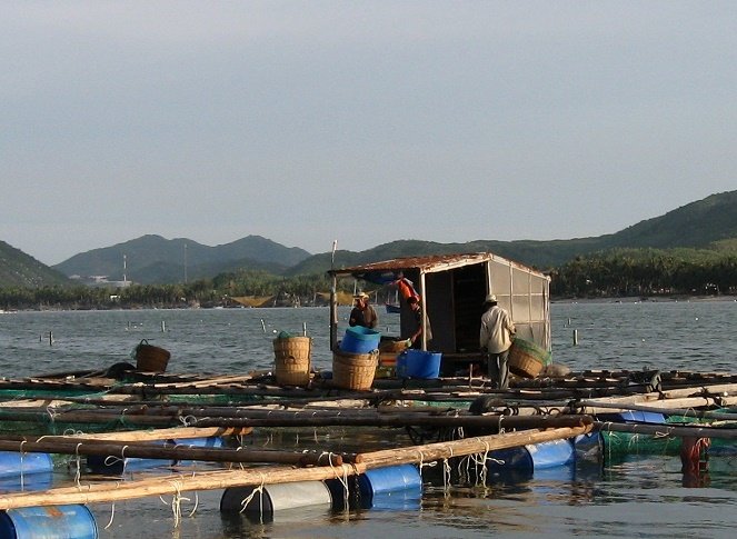 hinh-7-1441354686.jpg