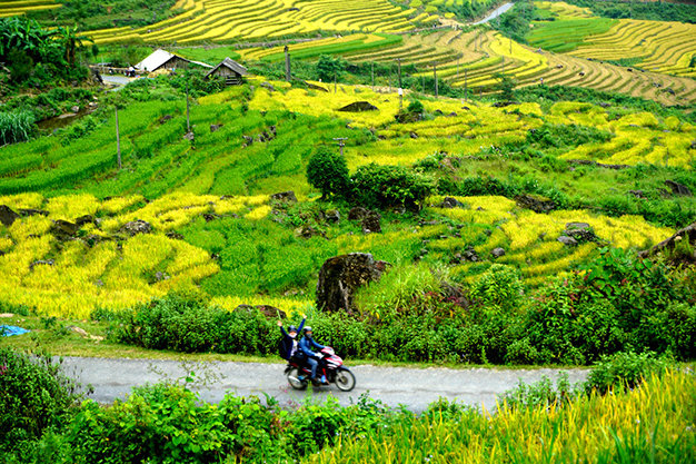 Phượt thủ trên những nẻo đường vàng Tây Bắc.