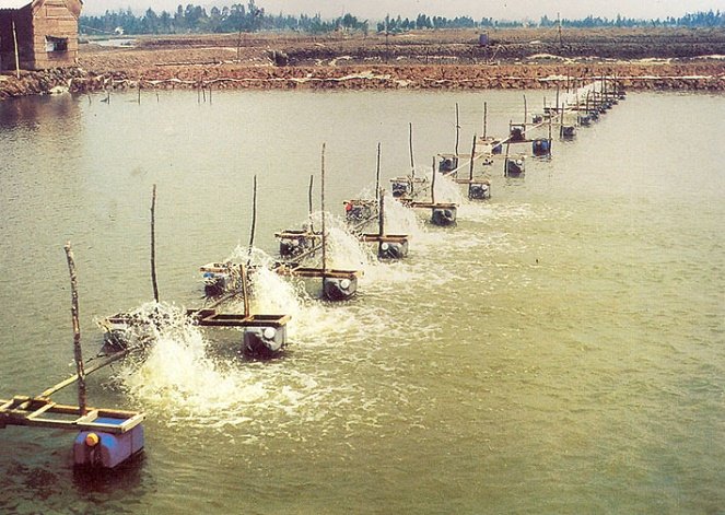 hinh-1-1444882588.jpg