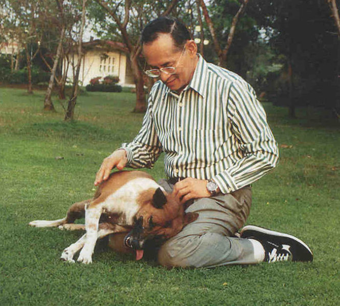 Nhà vua Thái Lan Bhumibol Adulyadej bên con chó cưng Tongdaeng của ông, ảnh chụp năm 2012 – Anh: Reuters
