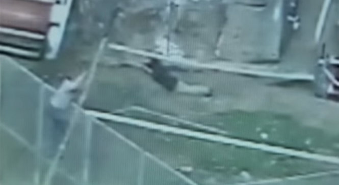 Người đàn ông bị kẹt trên tấm lưới trên chuồng hổ - Ảnh chụp từ camera