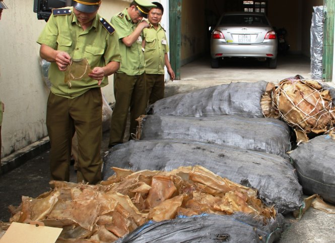 Hơn 1,3 tấn bì heo hôi thối bị bắt giữ