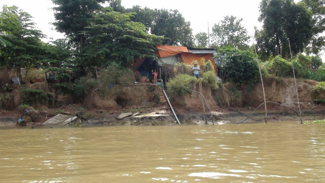Bờ sông ở xã Châu Phong, thị xã Tân Châu (An Giang) sạt lở nặng nhưng nhiều hộ dân tại đây chưa có nơi để di dời nhà - Ảnh: Đ.Vịnh