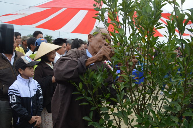 Nghệ nhân tham gia hội thi Chiết cành, tạo dáng cây quất cảnh - Ảnh: Thanh Ba