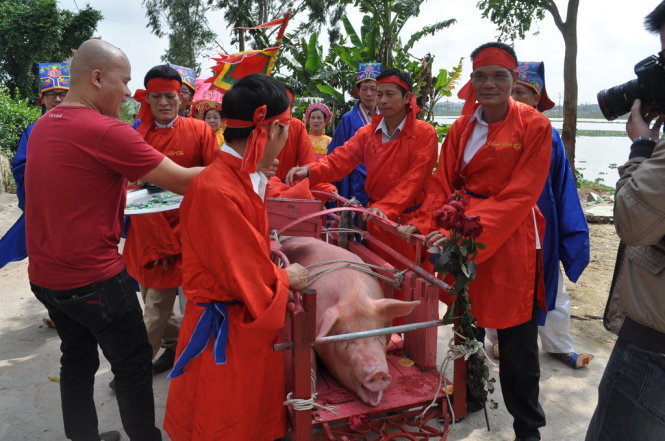 Người dân Ném Thượng rước ông Ỉn quanh làng trước khi thực hiện nghi thức chém lợn giữa sân đình - Ảnh: V.V.TUÂN