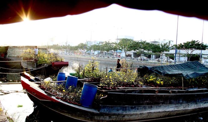 Chợ hoa Bến Bình Đông - Ảnh: Tấn Đức