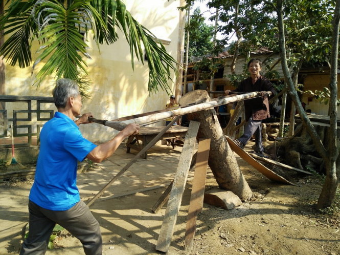 Cưa thân gỗ trước khi đục đẽo - Ảnh: Thanh Ba