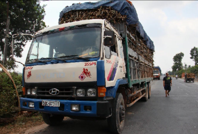 Phòng Công tác sinh viên trường Đại học Khoa học Xã hội và Nhân văn TP.HCM cho biết, tính đến ngày 8-3, có khoảng 6.100 sinh viên của trường này vẫn chưa đóng bảo hiểm y tế.