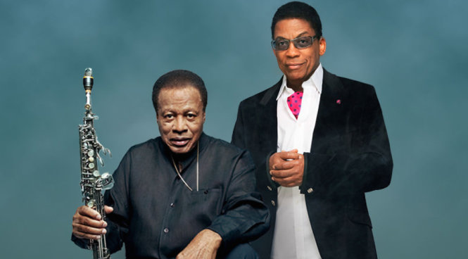 Hai nghệ sĩ Wayne Shorter và Herbie Hancock - Ảnh: nesthq.com