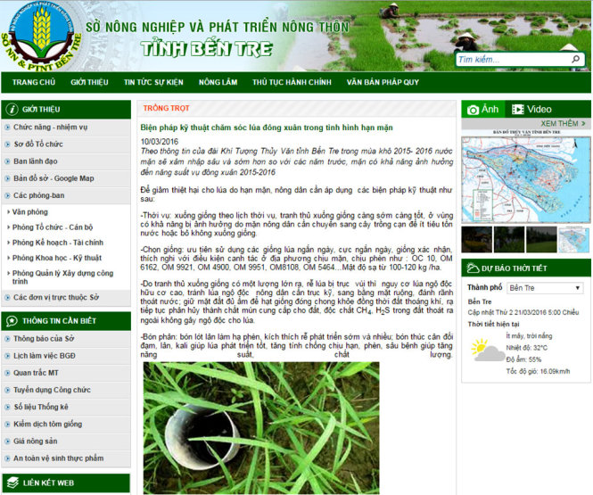 Màn hình chụp lại website Sở Nông nghiệp và phát triển nông thôn Bến Tre ngày 21-3, với bản tin “Biện pháp kỹ thuật chăm sóc lúa đông xuân trong tình hình hạn mặn”, khi mà hầu hết diện tích lúa của Bến Tre đã mất trắng.
