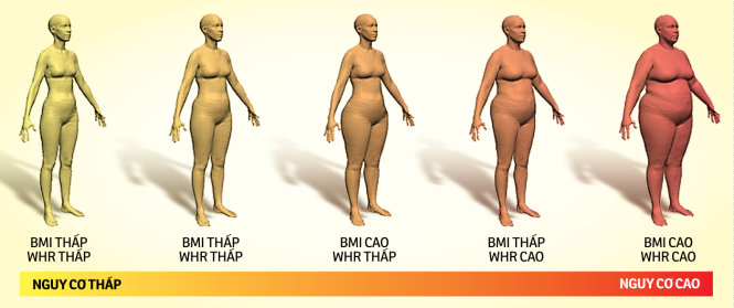 Nhận biết tình trạng sức khỏe qua tỉ lệ eo - hông - Đồ họa: Tấn Đạt