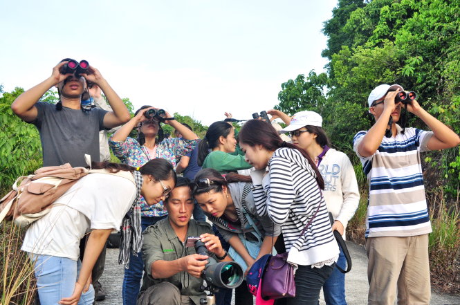 Bùi Văn Tuấn (giữa) hướng dẫn các bạn trẻ cùng tìm hiểu về voọc chà vá chân nâu trong chương trình “Tôi yêu Sơn Trà” - Ảnh: G.V.