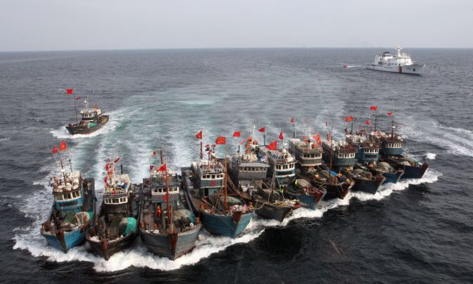 Tàu cá Trung Quốc thường đi thành đoàn để tranh cướp nguồn hải sản - Ảnh: AFP