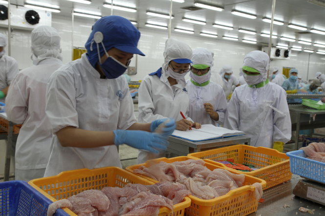 Công nhân Công ty CP Vĩnh Hoàn sản xuất trong nhà máy chế biến và bảo quản thủy sản Cổ Lịch - thuộc sở hữu của Vinafood 2 - Ảnh: V.TR.