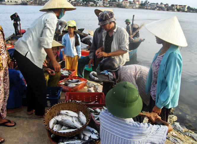 Nhiều loại cá sạch, tươi ngon vẫn được ngư dân khai thác từ biển xa
