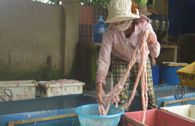 Mỡ bẩn được đựng trong các khay - Ảnh: Đ.Cường