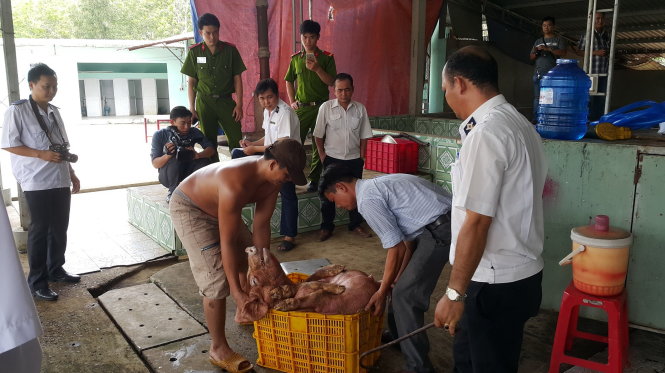 Số heo dính chất cấm salbutamol phát hiện tại cơ sở giết mổ An Điền - Ảnh: Tuấn Duy
