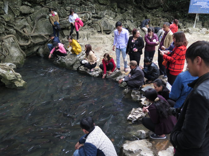 Du khách tham quan suối cá thần Cẩm Lương - Ảnh: Y.Trinh