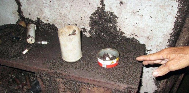 Bọ đen tấn công dày đặc nhà các hộ dân xã Hưng Phước, huyện Bù Đốp, tỉnh Bình Phước - Ảnh: B.L