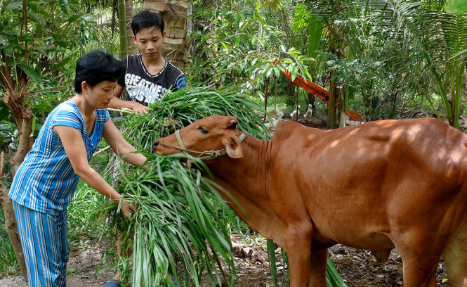 Hai mẹ con bà Lộc cùng nương tựa vào nhau - Ảnh: MINH TÂM
