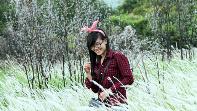 Đám cây khô trơ trọi chẳng còn lá nhưng là bối cảnh chụp hình cực đẹp. Ảnh: XUÂN LỘC