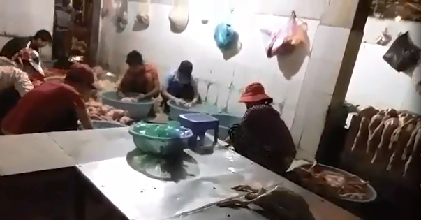 Cảnh giết mổ gia cầm tại chợ tạm - Ảnh: Q.THẾ