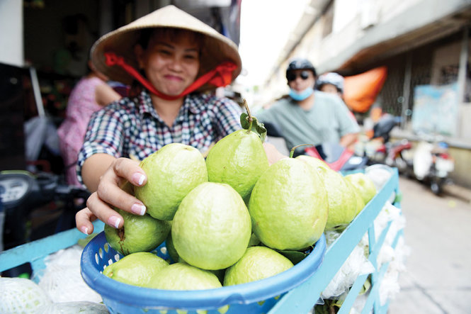 Ổi có nhiều công dụng tốt cho sức khỏe - Ảnh: DUYÊN PHAN