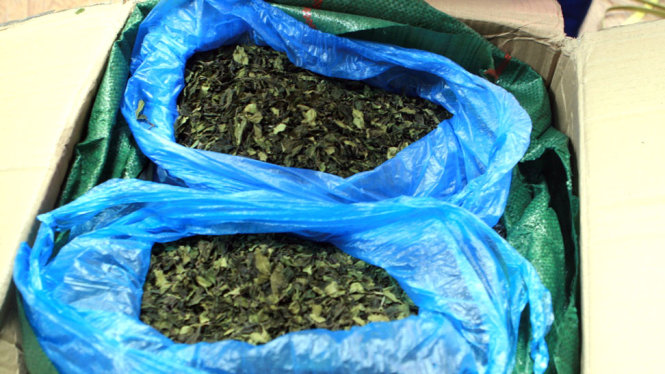 Gần 100kg ma tuý lá Khat bị bắt giữ - Ảnh: THÂN HOÀNG