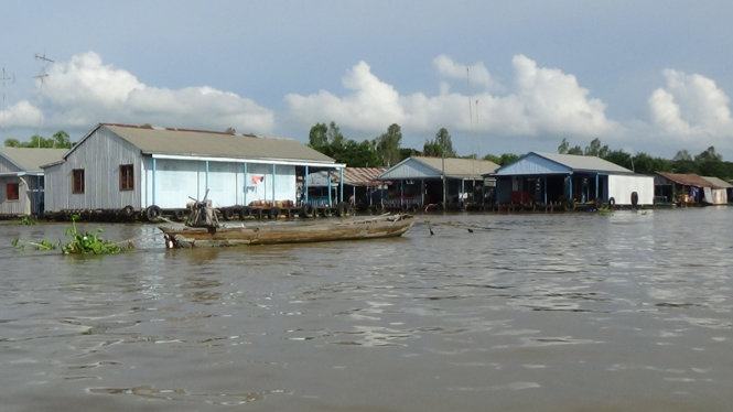 Làng bè Châu Đốc giờ đây đìu hiu vì giá cá giảm mạnh khiến người nuôi không mặn mà - Ảnh: BỬU ĐẤU