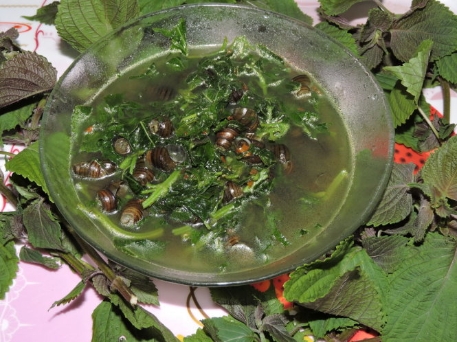 Nước canh ốc xôi vài dạo cho lá tía tô vào