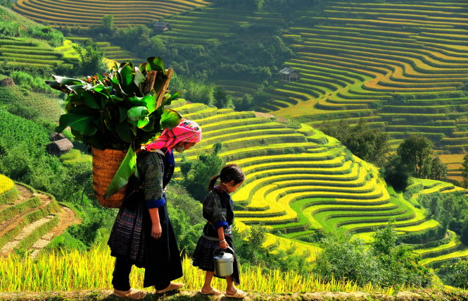 Những thửa ruộng bậc thang Mù Căng Chải đẹp kỳ vĩ như miền cổ tích