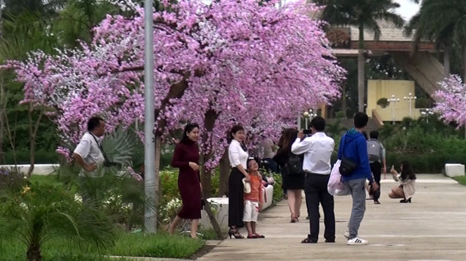 Người đàn ông đeo máy ảnh yêu cầu người dân nào muốn vào chụp hình bằng máy ảnh phải đóng phí 50.000 đồng - Ảnh: Đ.C
