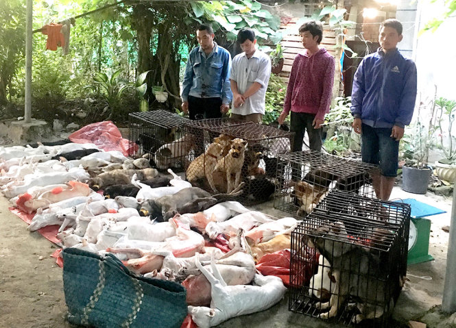 Tang vật của nhóm trộm chó bị công an bắt quả tang sáng 23-12.