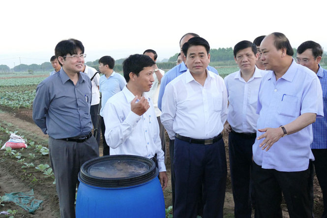 Thủ tướng yêu cầu lãnh đạo địa phương tăng cường tiếp xúc người dân, doanh nghiệp để tìm hiểu tình hình thực tế. Trong ảnh: Thủ tướng ra đồng trò chuyện với nông dân Hà Nội - Ảnh: LÊ KIÊN