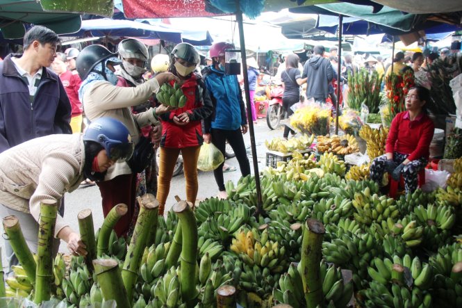Mặc dù là chuối “tuyển chọn”, nhưng tại chợ Đông Ba giá bán cũng thấp kỉ lục so với mọi năm, khoảng 60.000 - 120.000 đồng/nải - Ảnh: Minh An