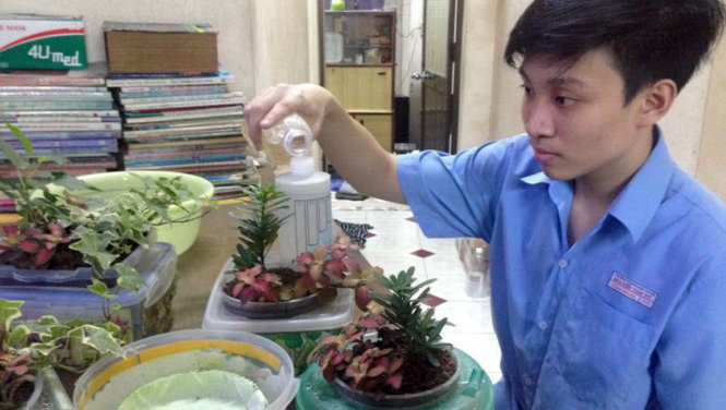 Em phuc và mô hình trồng cây của mình - Ảnh: Tường Hân