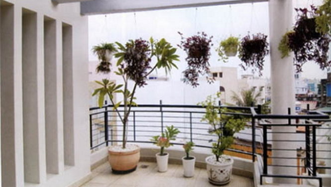 Chỉ nên trang trí các giỏ hoa, chậu cây nhỏ, tránh trồng các loại cây cao lớn, tán lá rậm rạp… trên ban công - Ảnh minh họa: BĐS